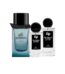 Mr Burberri Element Burberri for men type Perfume