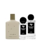 ZARA D COLLECTION MAN