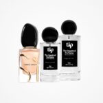 Giorgio Armani Si inspired perfume bottle with The Inspired Perfume