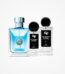 Versace Pour Homme